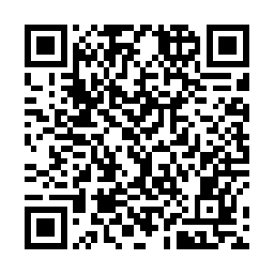 作为我的徒弟连门派试练都不去参加那我的老脸往哪搁二维码生成