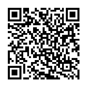 作为护卫的残月剑圣与磐岩剑圣和小侍女林碧若三人二维码生成