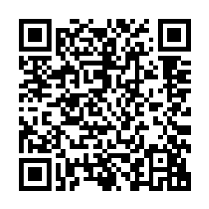 作为曾经许家嫡系十二支中的弟子总是要比自己来的熟悉一些二维码生成
