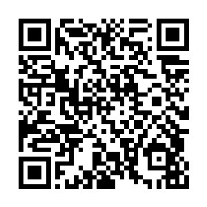 作为未来新郎官的陆禹其实是所有人中最悠闲的二维码生成