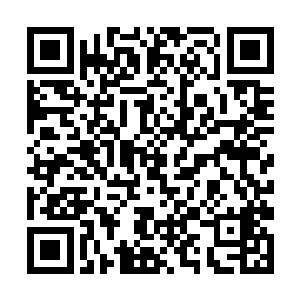 作为每一位金丹修士的强制任务也有这方面的考量吧二维码生成