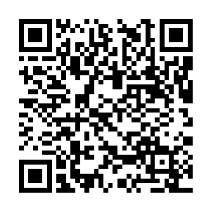 作为犒赏贝海亲自下厨做了一顿色香味十足的饭菜二维码生成