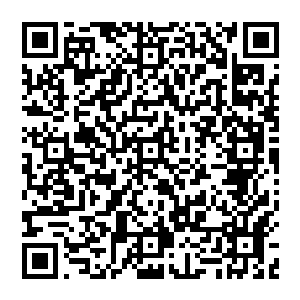 作为目前已经拥有七架水上飞机的东南斯堪的纳航空公司如果能够再获得一架这种干线级的大客机二维码生成