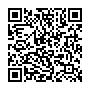 作为纵队指挥者的巴特利带着护卫队脱离的大军二维码生成