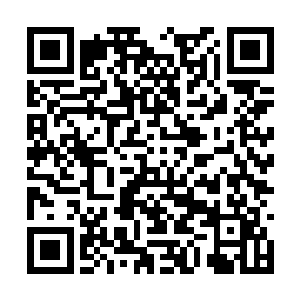 作为统治宗教的盔神教派对暗元素使用者并无偏见二维码生成