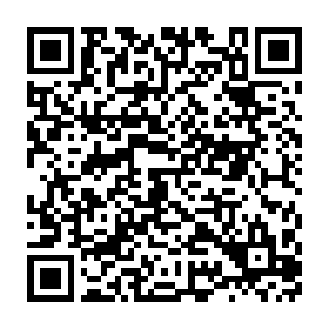 作为这一战队的指挥官的莎儿则去向月亮城的最高指挥官阿隆索述职二维码生成