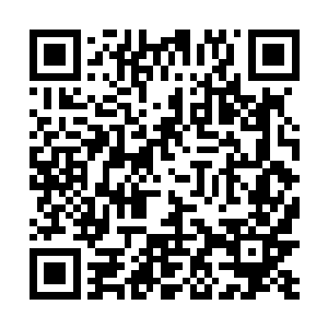 作为队友兼前辈的陈诚如果连这点儿忙都不愿意帮的话二维码生成