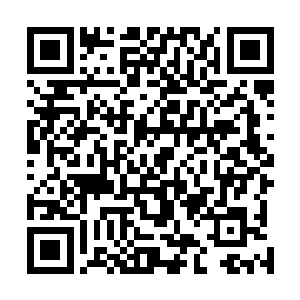 作为魔化傀儡军团的军团长的主要任务就是与母虫的沟通二维码生成