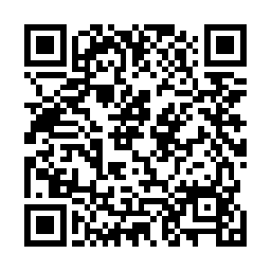 作为龙牙成员在得知了叶秋和佐藤佳禾今天比武的事情后二维码生成