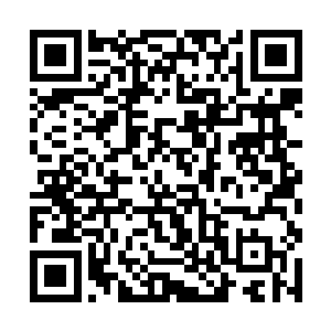 作战计划和底层反应炉区域的地形图都发送给了红猪二维码生成