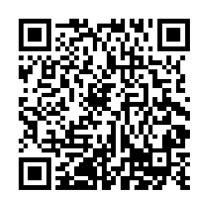 作推动牺牲事件的仙道核心终是不可避免受到部分反噬二维码生成