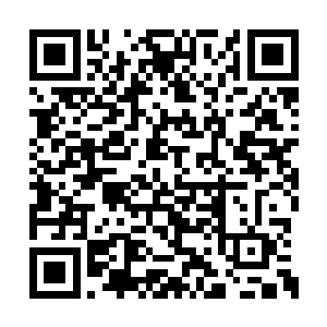 佟家兄弟还有李潇他们在大会之前就被召回帝都二维码生成