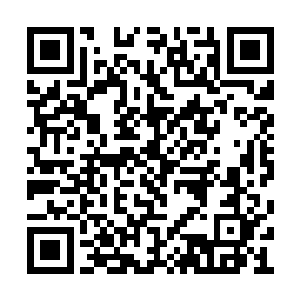 佟王和剩下的五个兵甲境巅峰强者来到宁王跟前二维码生成