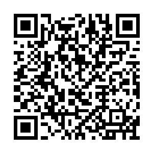 你……你一击就杀了黄泉杀道……的九阳境修士二维码生成