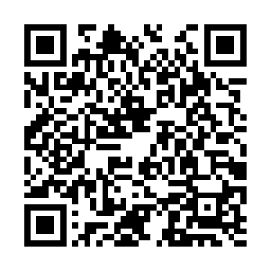 你……你到底是什么东西……你绝对不是僵尸……二维码生成