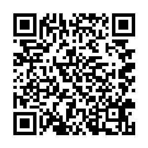 你……你在我们眼中简直就跟会走路的能量光团一样二维码生成