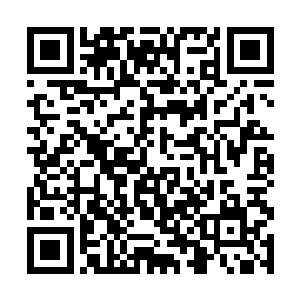 你……你怎么回来了……不是说部队上有很多事情吗二维码生成