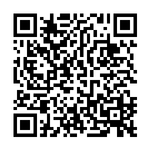 你……你怎么知道祖龙大神就不需要那……那个什么了……二维码生成