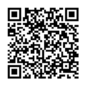 你……你是棺材……棺材里那具女尸……女尸的孩子二维码生成