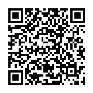 你……你真的让学校的那些老师们都签名支持我了二维码生成