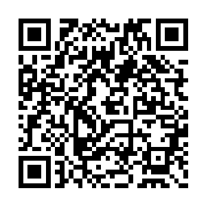 你……你竟然这么快就达到了半步灵寂期的境界二维码生成