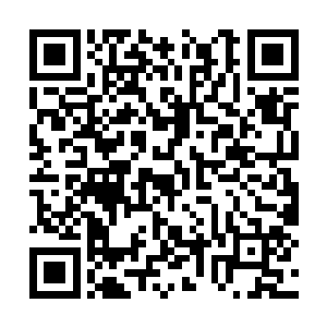 你……应该是这次参加试炼的所有人中最强的一个二维码生成