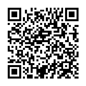 你……这……他……怎么可能……我是说……尚秀……二维码生成
