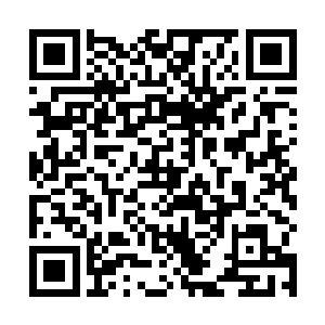 你一个三品的怎么会值得五品以上存在的高手对你出手二维码生成