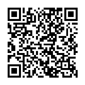你一个可以随随便便地把雷克斯这样的高手玩弄于股掌之间二维码生成