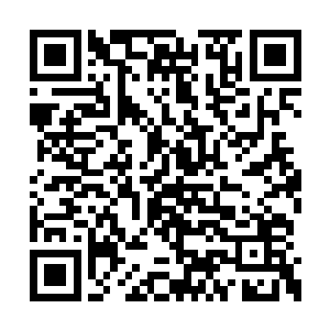 你一个客人对自己这个主人这般嚣张是什么意思二维码生成