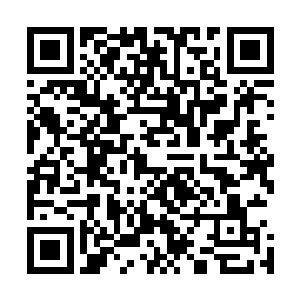 你一个小小修神中期修士竟然先于我们合体期修士登上台阶二维码生成