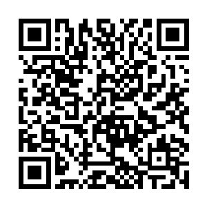 你一个小小的副局长还没有坏这么大一个项目的资格二维码生成