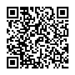 你一个异姓藩王世子仗着赵家亏欠徐家的糊涂账去讨要几笔老债二维码生成