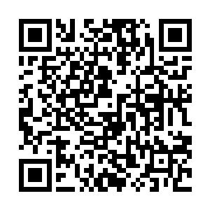你一个月的时间就用掉了整个命运殿堂过去三年的维护费二维码生成