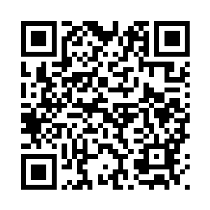 你一定已经想好了出逃以后的计划二维码生成