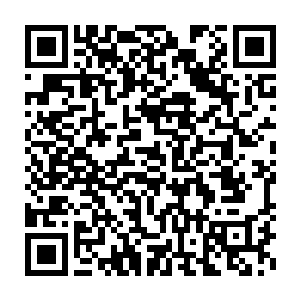 你一定很容易忽略叶道陵在政界的影响力和叶道玄在军部的能量吧二维码生成