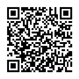 你一定要在我们的大道本源之力耗尽之前完成这一切二维码生成
