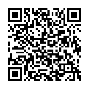 你一来就和元嘉长老反击了雷廷旭和其父亲一把二维码生成