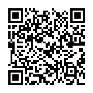 你一直很好奇这个孩子为什么会加入到这一行来的二维码生成