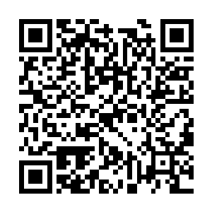 你下场了反而掉了身份当然用小号就是另外一回事二维码生成