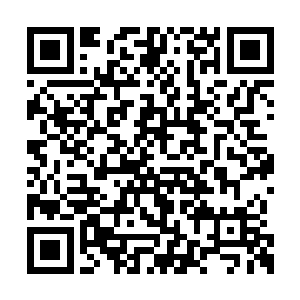 你不仅仅在这样一具孤独而可笑的躯壳中生存着二维码生成