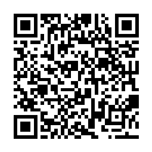 你不会以为和合同打交道的律师会眼瞎到看不出来吧二维码生成
