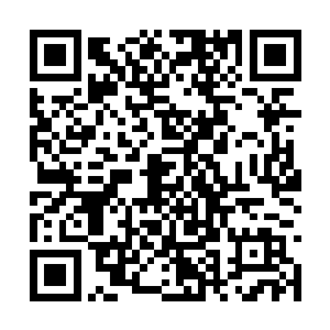 你不会以为狄家贪墨了你在灵石矿几乎所有的收获二维码生成