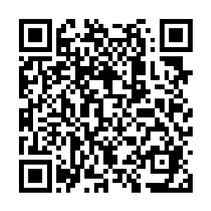 你不会以为这两名黑衣人是我派人来的故意追杀你二维码生成