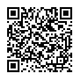 你不会信你一个萍水相逢相处不过数日的男子的话二维码生成