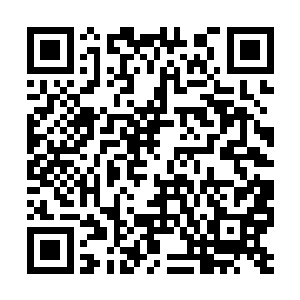 你不会是因为担心有人将你输掉斗医的事情传出去二维码生成