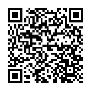 你不会是想让我私下打开荒古入口封锁再放你进去吧二维码生成