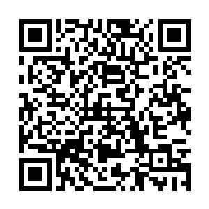 你不会是打算以这样可笑的手段来吸引我的注意力二维码生成