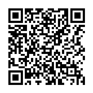 你不会真的想要一直在这里替李家的人追查那个杀人穷手吧二维码生成