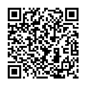 你不会真的眼睁睁的看着妹妹嫁给周巡那种草包吧二维码生成
